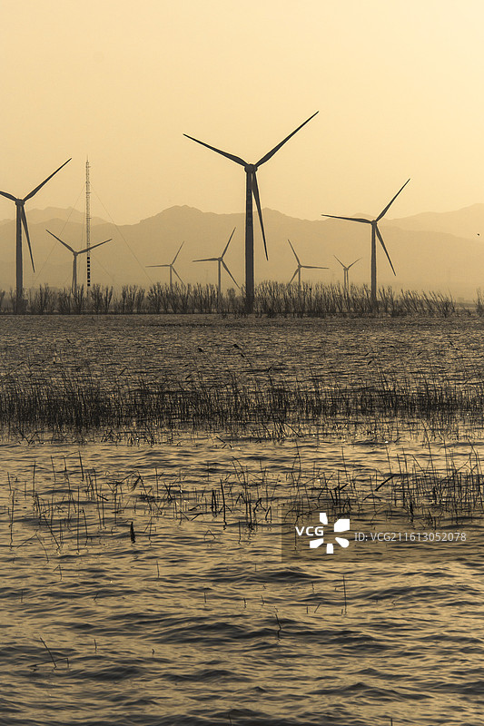 国家野鸭湖湿地公园图片素材