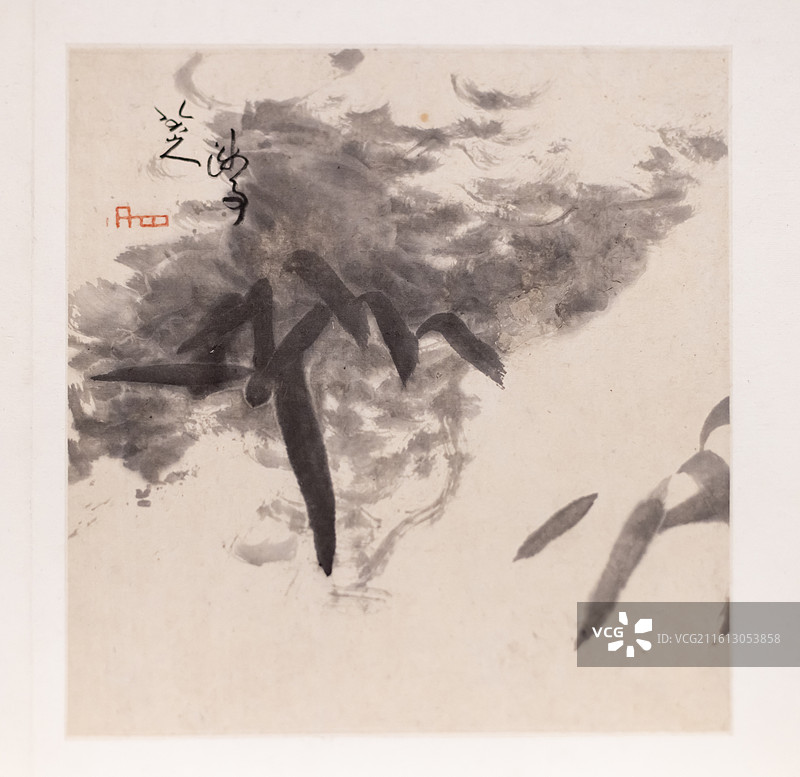 清 朱耷 书画册 上海博物馆图片素材