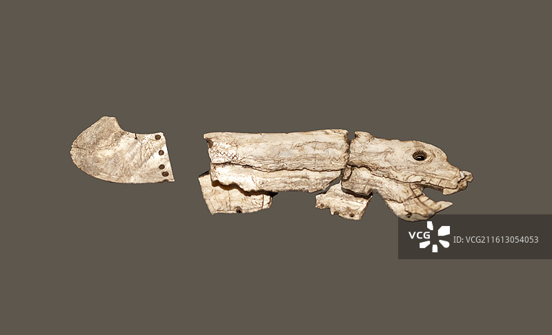 蚌龙 红山文化 内蒙古赤峰彩陶坡遗址出土 内蒙古自治区文物考古研究院图片素材