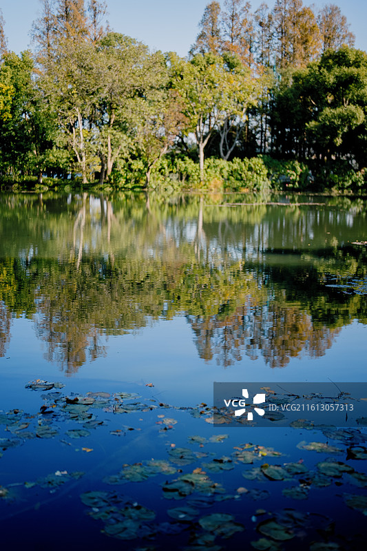 西湖美景 雷峰塔 三潭印月 柳岸闻莺 传说 白蛇传 风光 旅游 假期图片素材