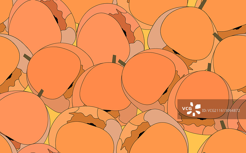 春天，郁金香盛开，色彩缤纷图片素材