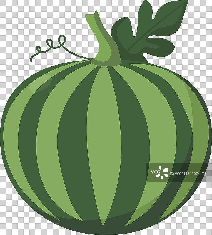 新鲜的完整西瓜图片素材