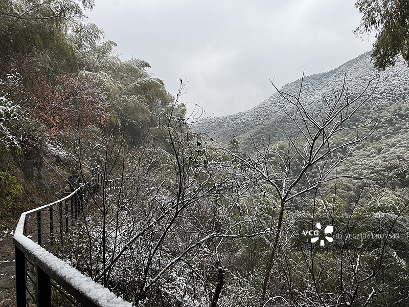 冬天雪中的莫干山镇仙潭村碧坞龙潭景区，竹林与步道图片素材