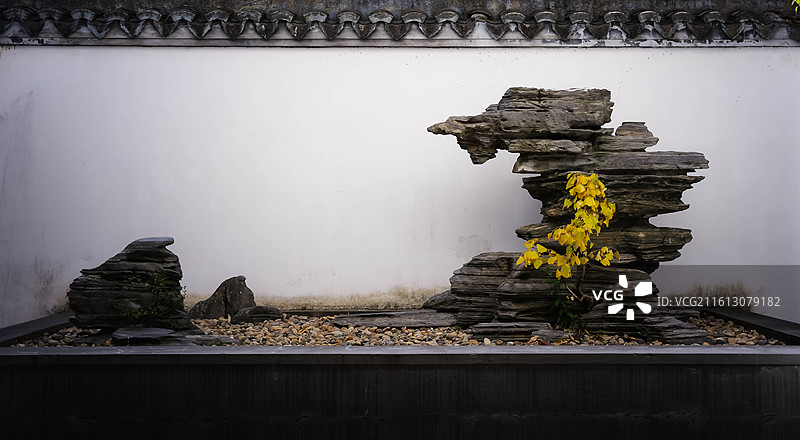 中式园林盆景艺术大型盆景图片素材