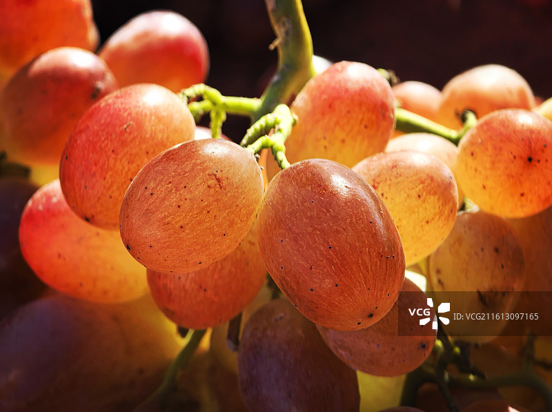 天津市滨海新区 大港市场图片素材