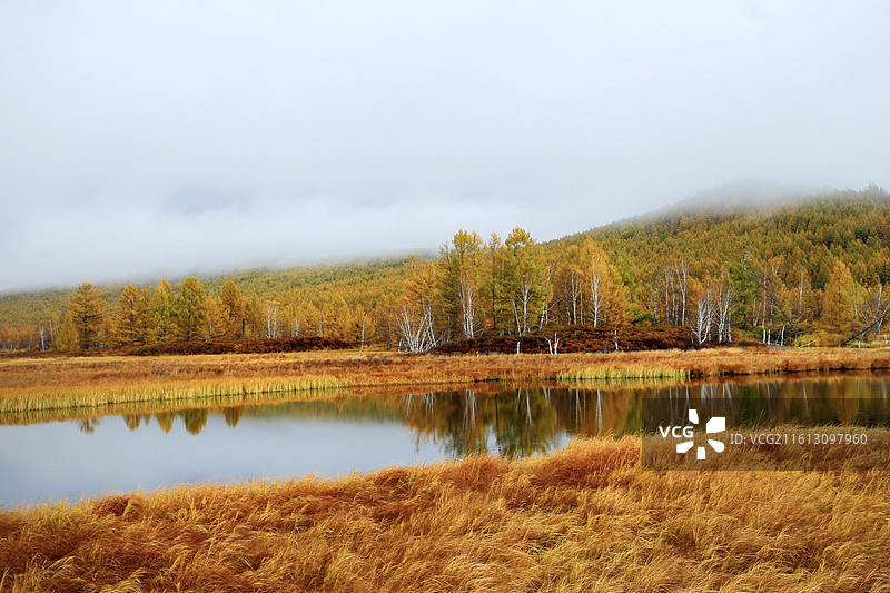 阿尔山国家森林公园兴安服务区周边，清晨当第一缕阳光洒向大地，晨雾如轻纱般将整个湿地笼罩在一片朦胧之中图片素材
