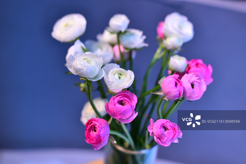 盛开的鲜花图片素材