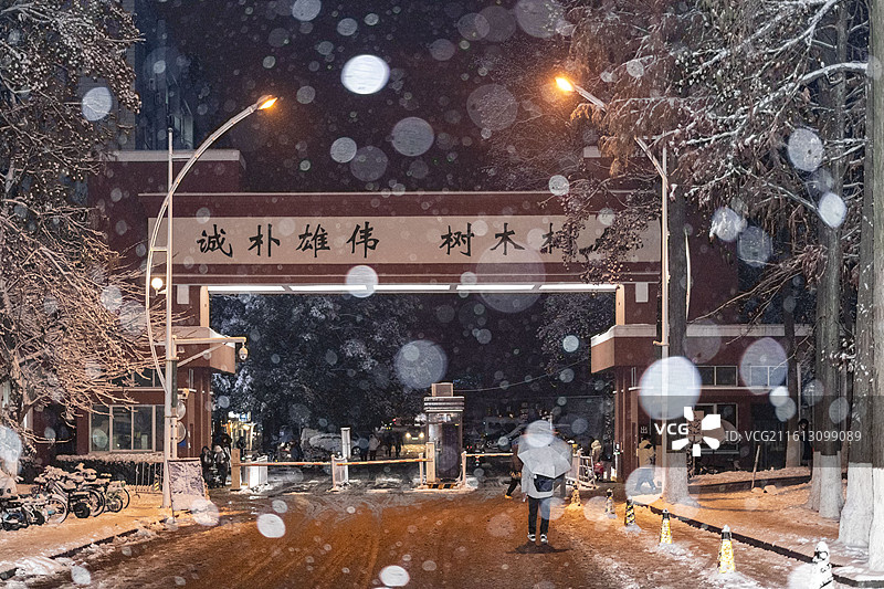南林雪夜图片素材