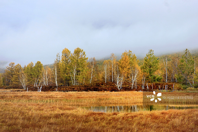 阿尔山国家森林公园兴安服务区周边，清晨当第一缕阳光洒向大地，晨雾如轻纱般将整个湿地笼罩在一片朦胧之中图片素材