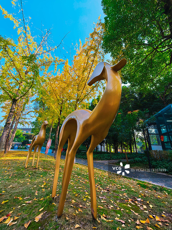 金鹿雕、黄银杏、澄澈蓝天，每一处都透着秋日公园的浪漫治愈图片素材