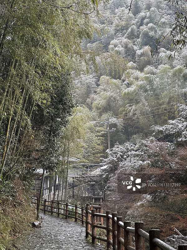 冬天雪中的莫干山镇仙潭村碧坞龙潭景区，竹林与步道图片素材