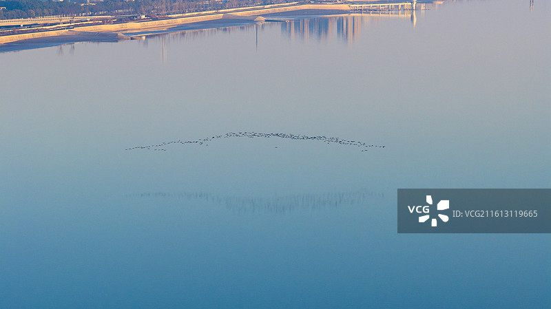 杭州钱塘区钱塘江大江东日出候鸟群飞图片素材