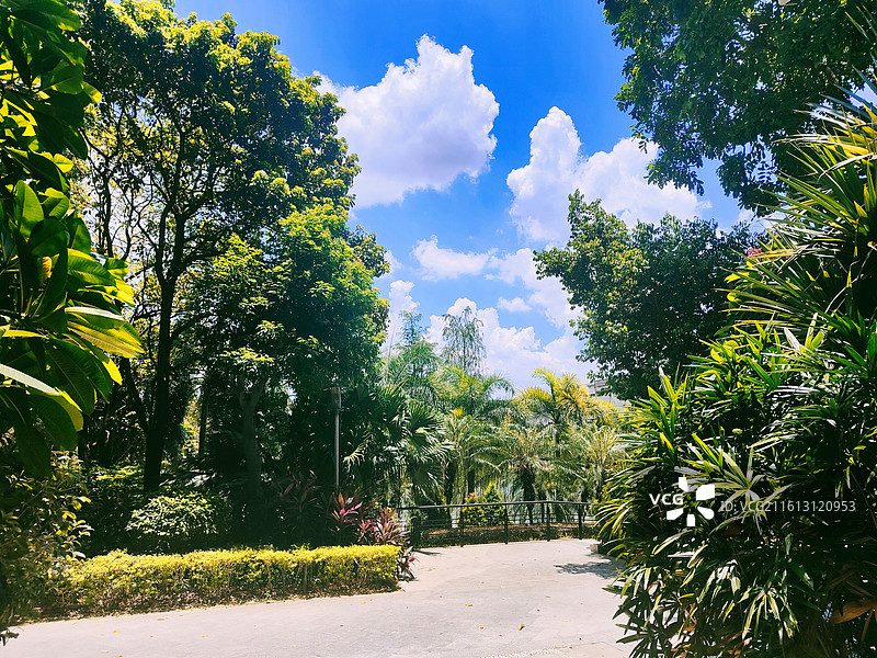 广州番禺区南村万博海印星玥小区园林绿化图片素材