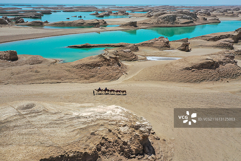 晴朗天空下行走的骆驼，水上雅丹图片素材