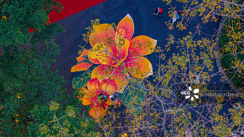 2026.1.1航拍广州白云山摩星岭木棉花景观图片素材