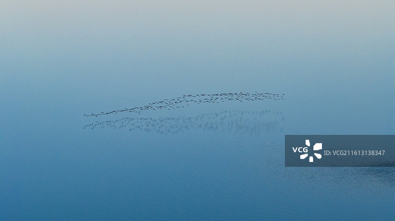 杭州钱塘区钱塘江大江东日出候鸟群飞图片素材