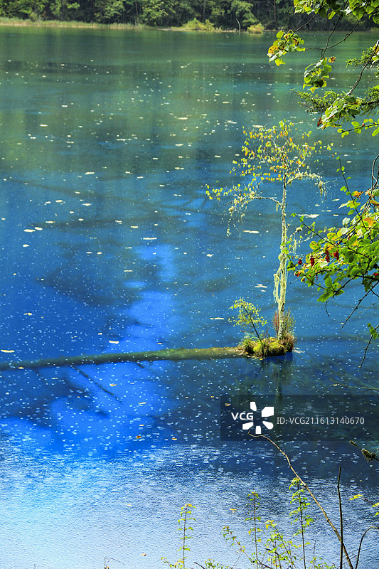 九寨沟五彩池风光图片素材