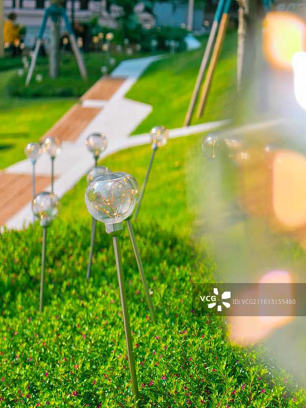 蹲在草边看灯球，连空气都飘着 “把星光种进生活” 的治愈感图片素材