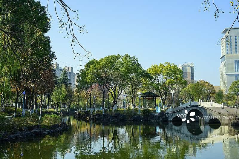 泰兴银杏公园图片素材