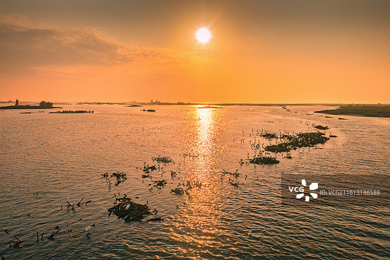 北海廉州湾：绯霞裹水汀，鹭羽卧残枝图片素材