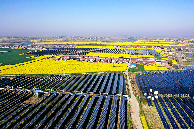 绽放的油菜花和光伏板图片素材