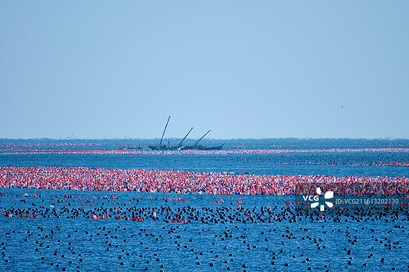 大连塔河湾海岸边多彩的养殖漂浮伐图片素材