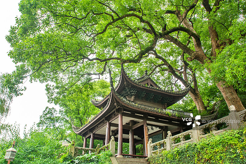杭州 放鹤亭 舞鹤赋 碑亭 文物古迹 历史遗迹 孤山 西湖畔 古亭 亭子 历史文化景点 参天大树图片素材