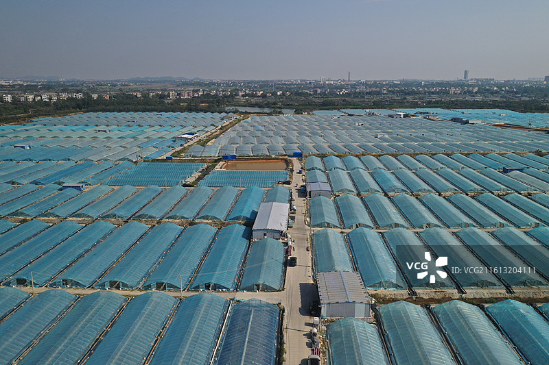 北海市南极对虾养殖场风光图片素材