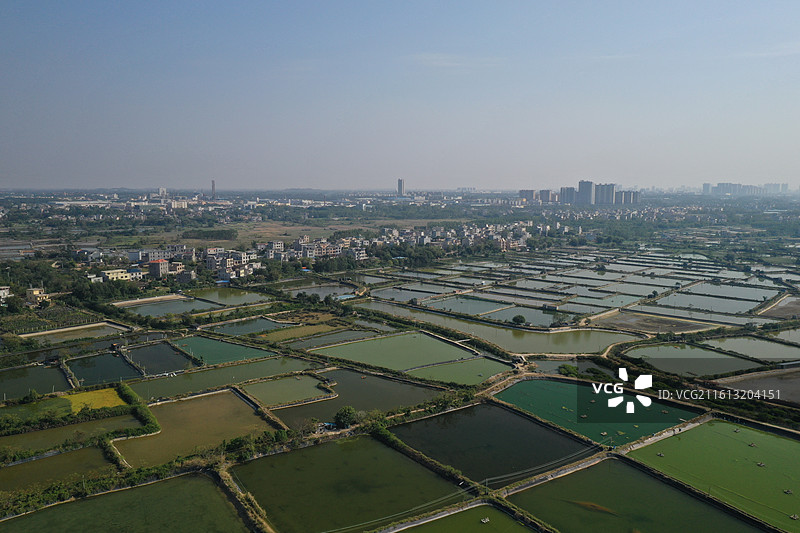 北海市南极对虾养殖场风光图片素材