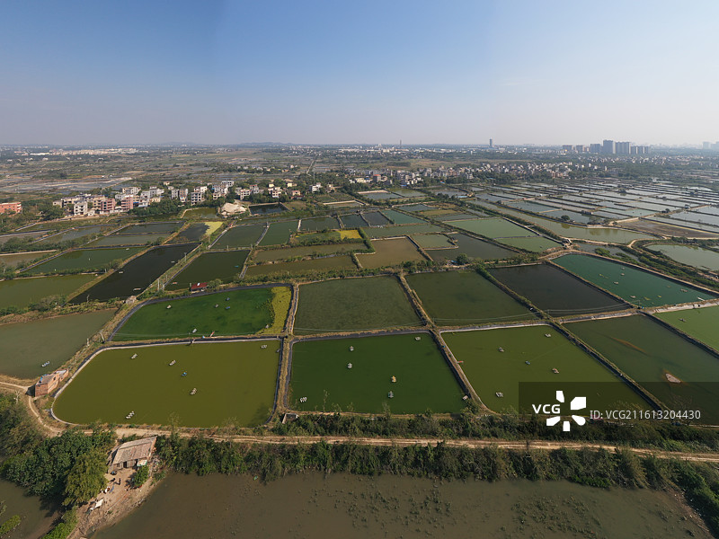 北海市南极对虾养殖场风光图片素材