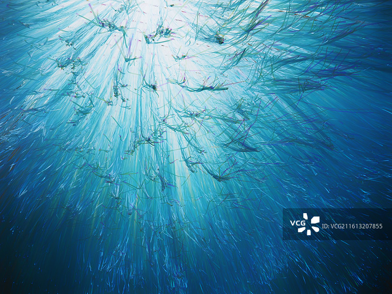 蓝色装饰 塑料海鲜 环保创意布置 深蓝 青岛旅游地图片素材