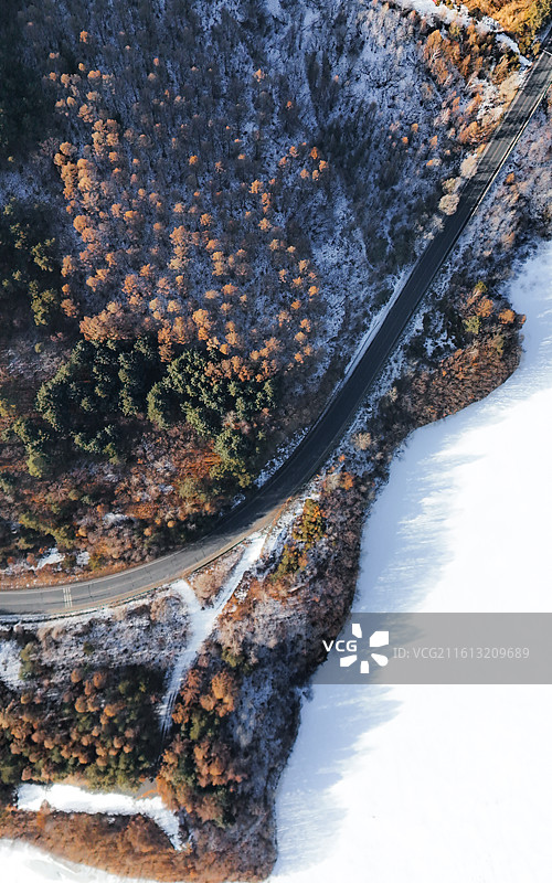 雪漫松间图片素材