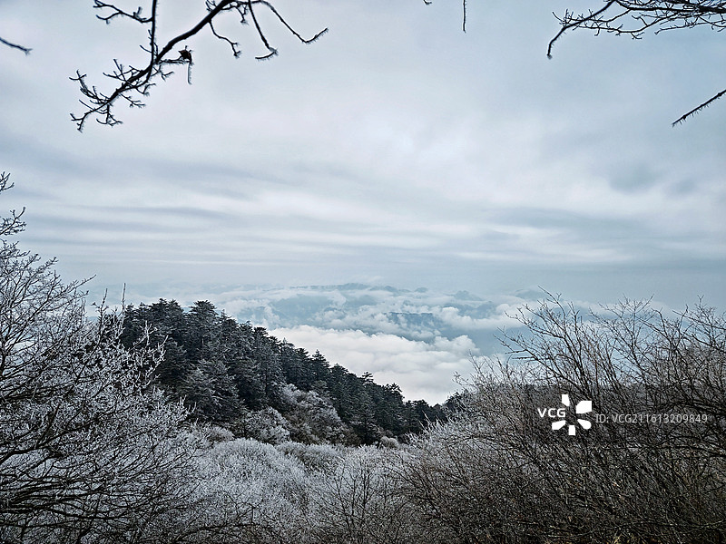 峨眉后山到万佛顶沿途的风景图片素材