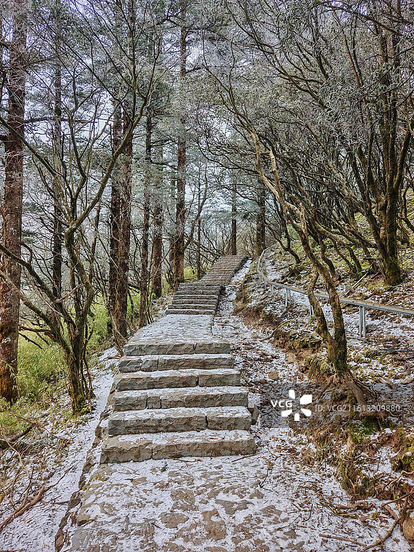 峨眉后山到万佛顶沿途的风景图片素材