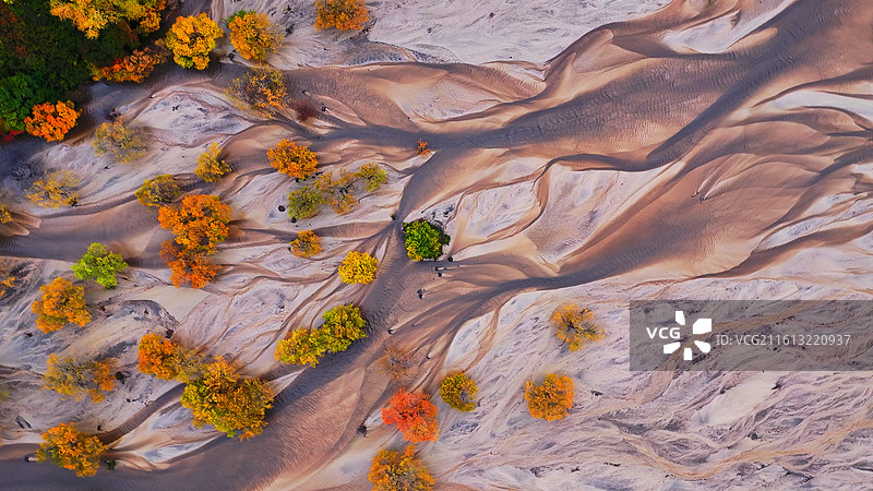 撒岭河秋色图片素材