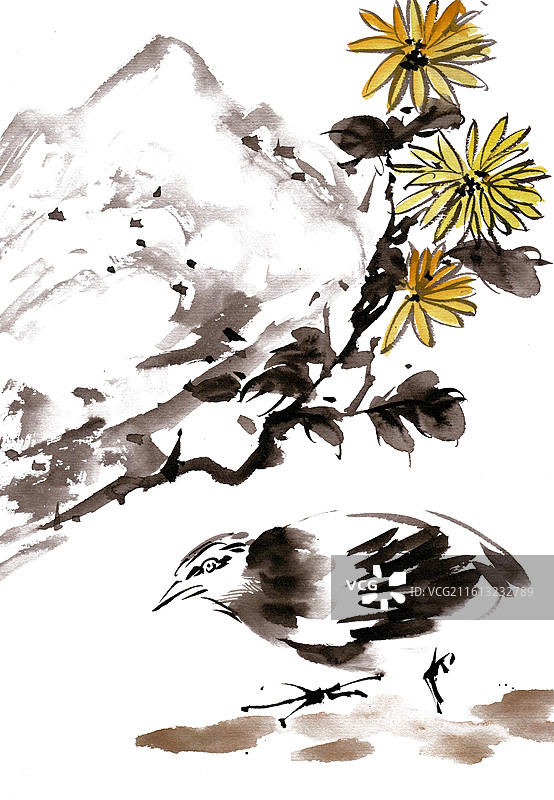 菊花下的小鸟图片素材