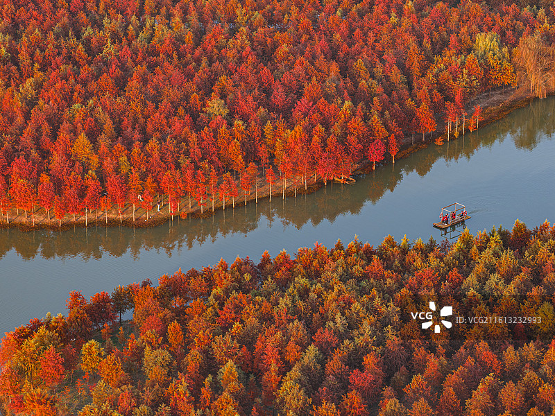 合肥滨湖红杉林游船秋景图片素材