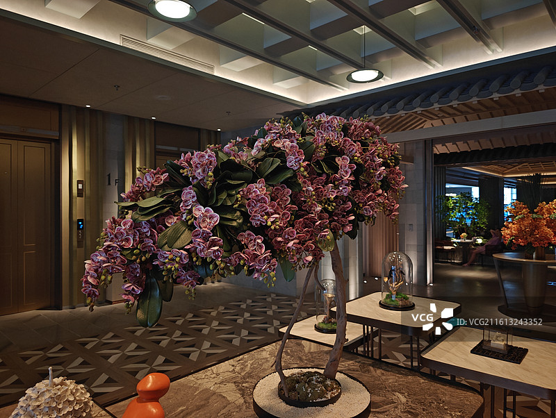 大浴场温泉五星级酒店的装饰和电梯楼梯图片素材
