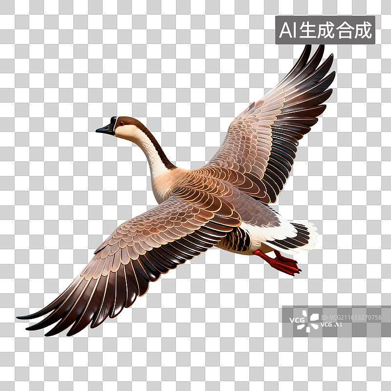 【AI数字艺术】飞回的大雁图片素材