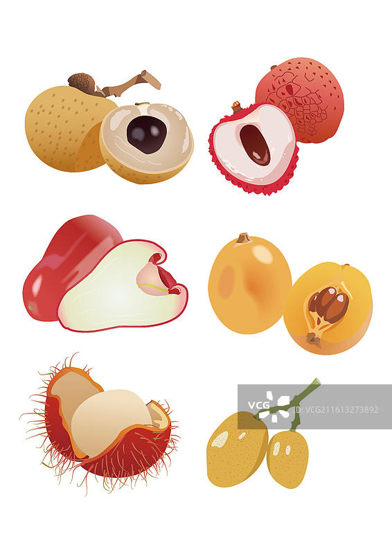 夏日水果龙眼荔枝莲雾枇杷红毛丹黄皮图片素材