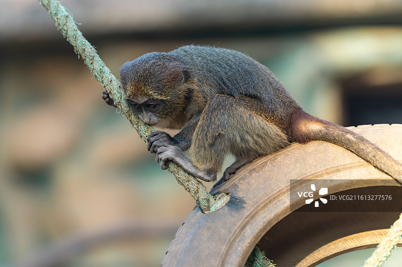饥饿难耐图片素材