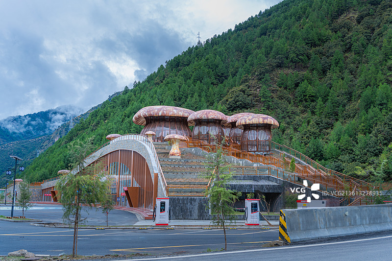 雅江县松茸交易中心，它是四川省唯一以松茸为主的省 4 星级园区及首个交易市场图片素材