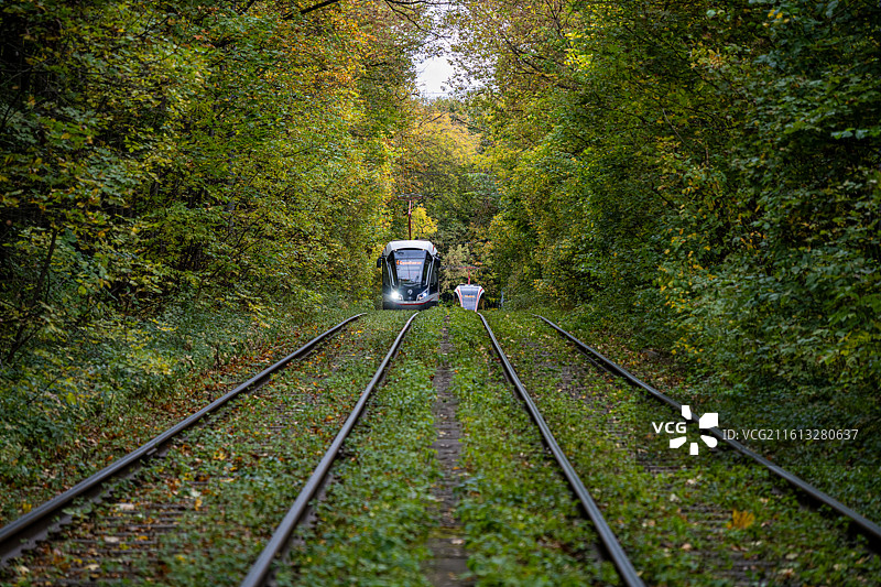 森轨行歌 电车穿梭在葱郁的林间轨道，绿意裹挟着车厢，奔赴一场自然的约会。图片素材