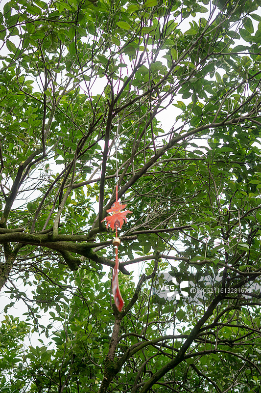 大理安仁古镇 中国博物馆小镇图片素材