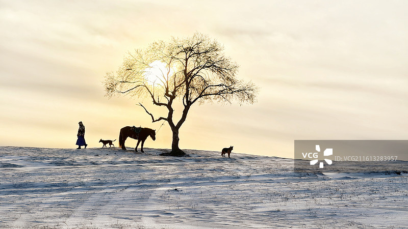 夕照雪原·生灵和弦图片素材