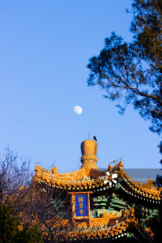 孤高乌鸦，辑芳亭和明月图片素材