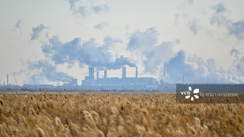 冬日限定——龙凤湿地图片素材