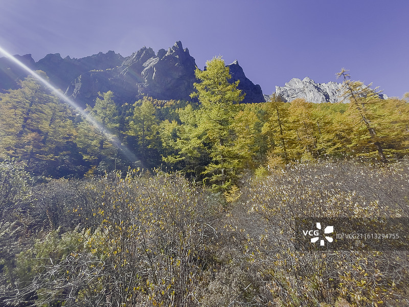 稻城亚丁：彩林，石山，蓝天，圣水湖，瀑布图片素材