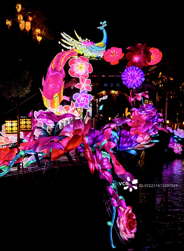 孔雀开屏花灯簇拥水边倒影夜景春节新年喜庆图片素材