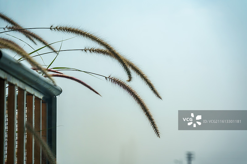 珠三角的咖啡店图片素材